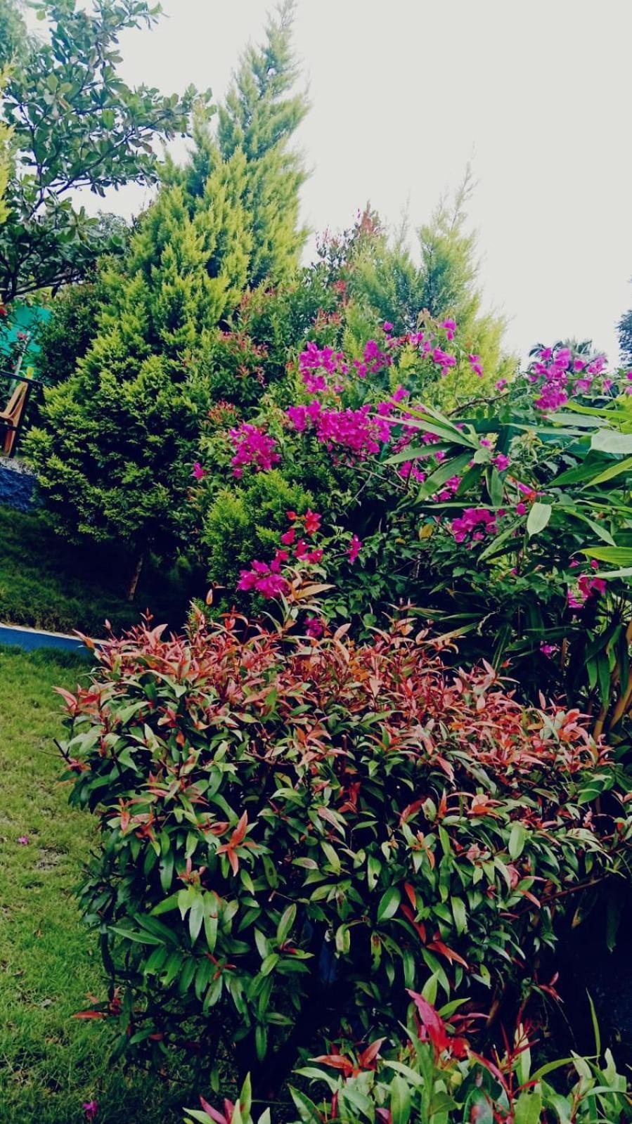 Serene Blossom Valley Tenkāsi Exterior foto